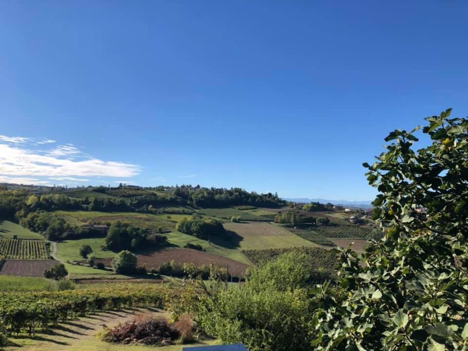 Agriturismo Podere La Piazza 코스티글리올레 다스티 외부 사진