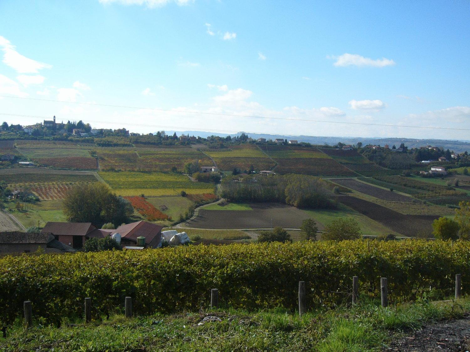 Agriturismo Podere La Piazza 코스티글리올레 다스티 외부 사진